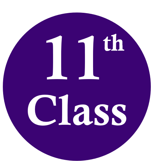 Class 11th category