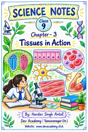 Class 9 Science Notes – Chapter 3: Tissues in Action