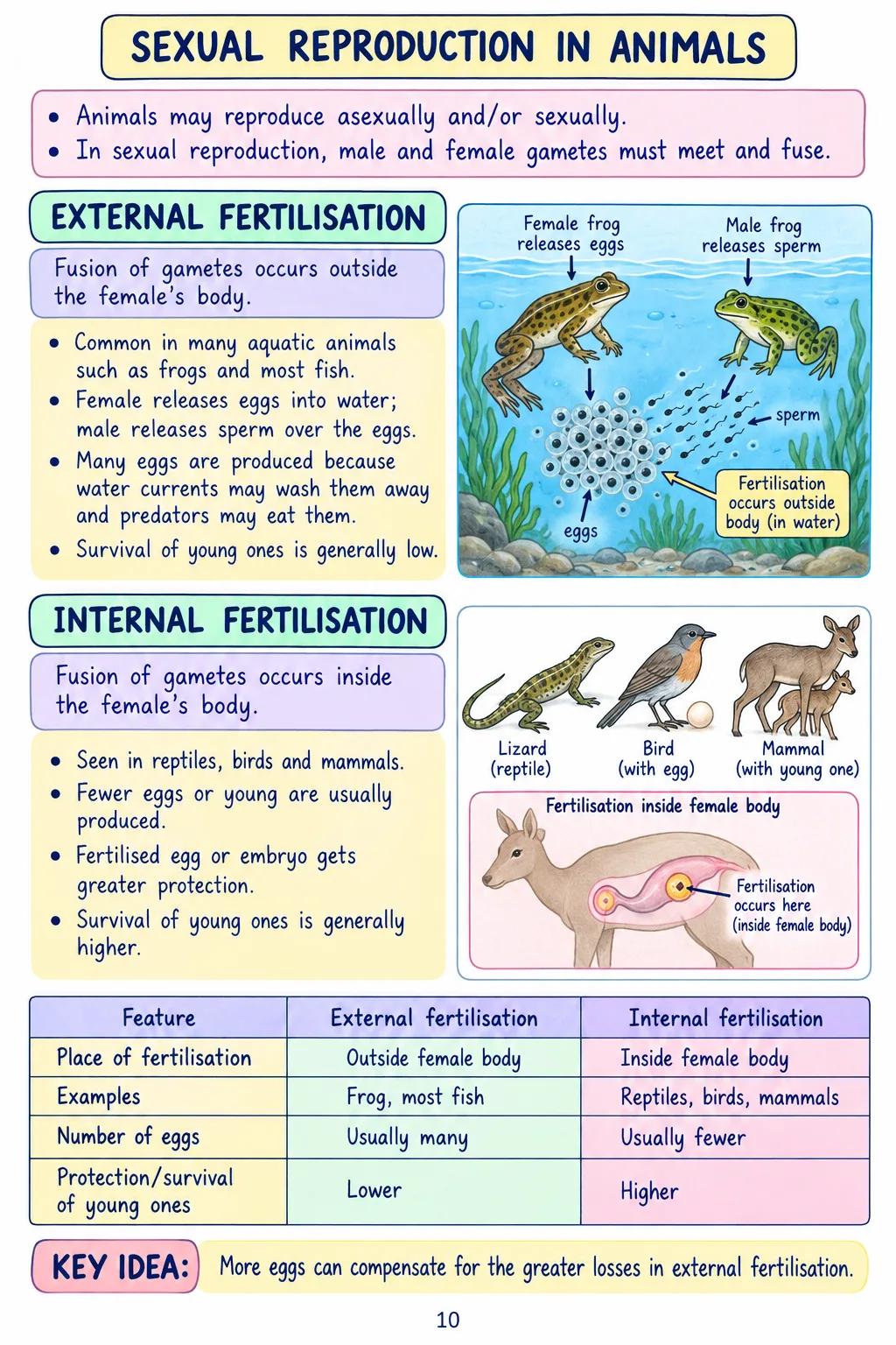 Class 9 Science Notes – Chapter 11: Reproduction How Life Continues - Image 3