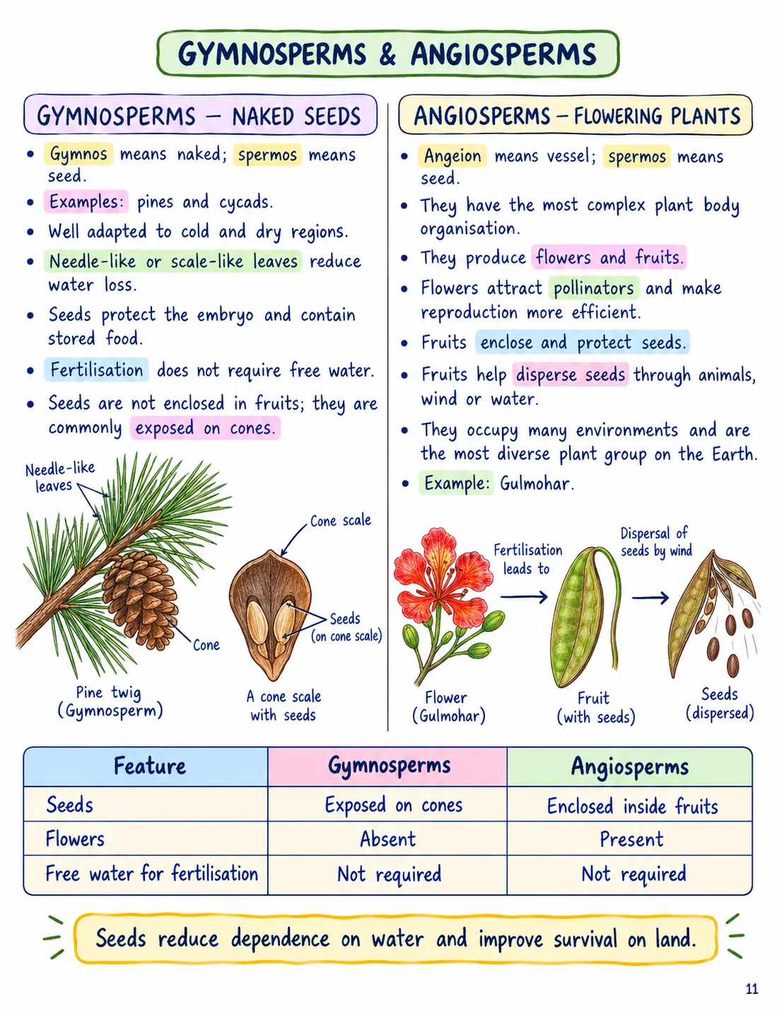 Class 9 Science Notes – Chapter 12: Patterns in Life Diversity and Classification - Image 4