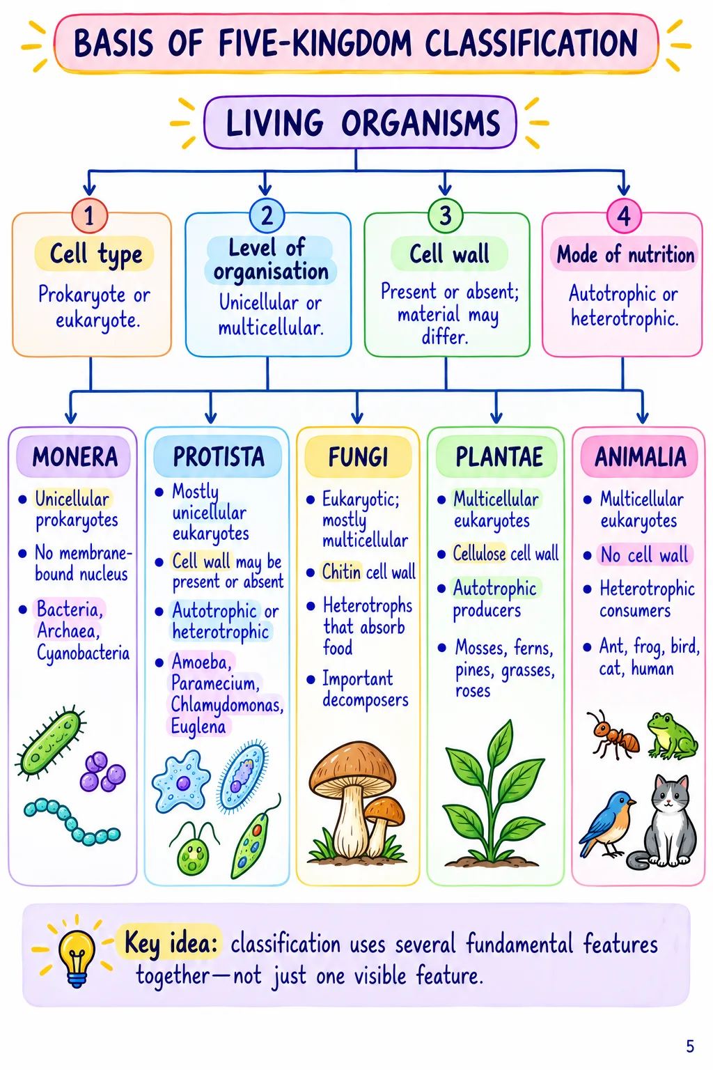 Class 9 Science Notes – Chapter 12: Patterns in Life Diversity and Classification - Image 2