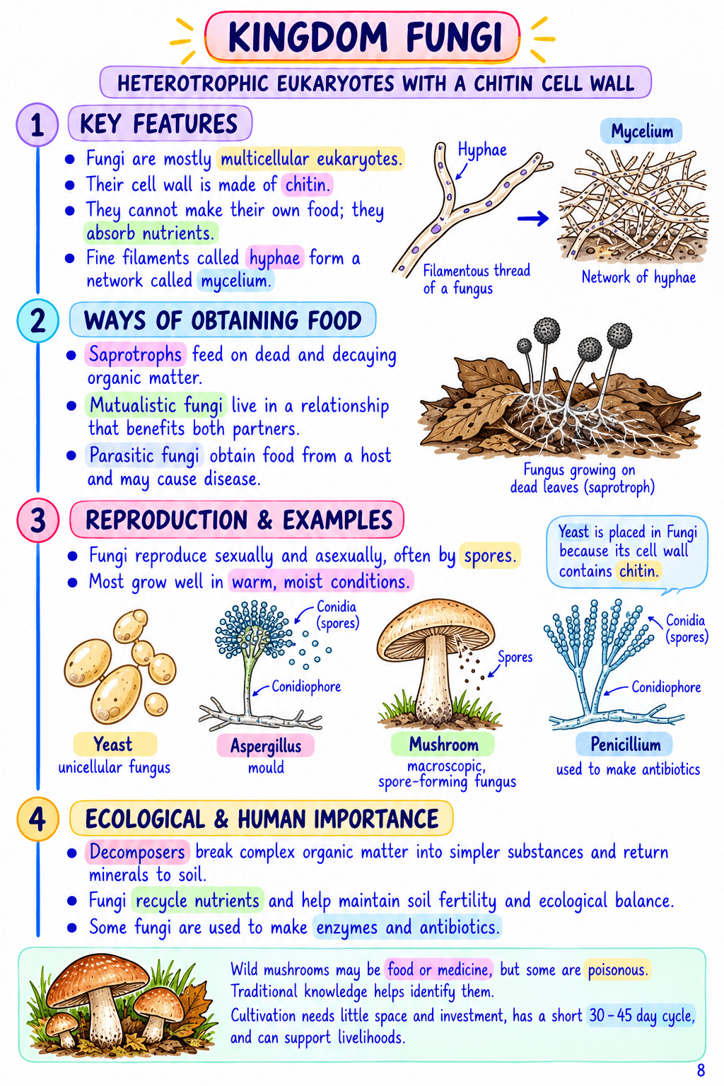 Class 9 Science Notes – Chapter 12: Patterns in Life Diversity and Classification - Image 2
