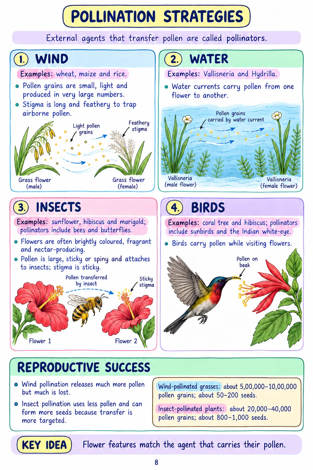 Class 9 Science Notes – Chapter 11: Reproduction How Life Continues - Image 2